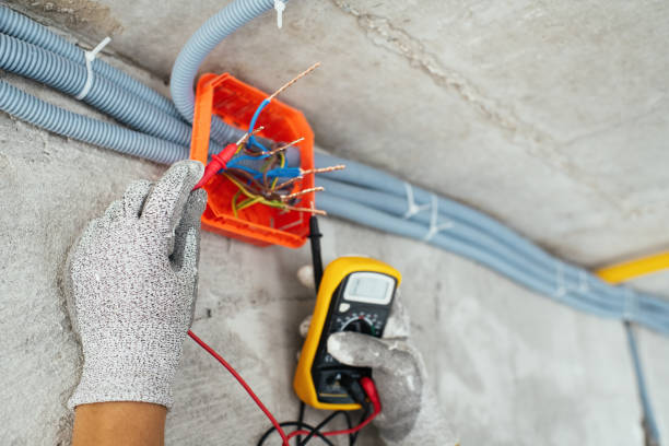 Best Electric Panel Repair  in Watkins Glen, NY